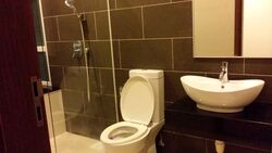 Palm Oasis (D15), Apartment #355032741
